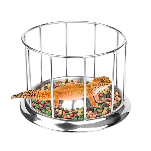 Reptilien Fütterungsschale, Rust-Proof Food and Water Feeder, Edelstahlschalen Terrariumschalen, Bärde Drachenschildkröten-Habitatzubehör, Rostfeste Haustierspender Für Home Vivarium von Niesel