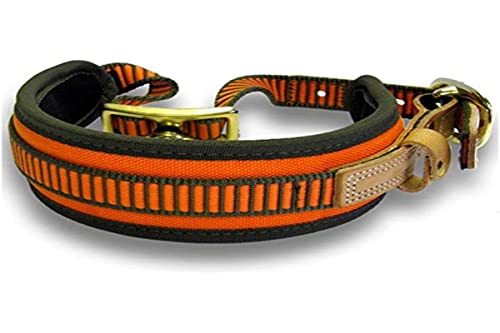 Niggeloh Hundehalsband Schweißhalsung, orange-oliv, S, 011100021 von Niggeloh