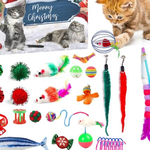 Adventskalender Für Katze 2024, Katzen-Adventskalender, Katzenspielzeug Weihnachts Adventskalender, 24 Stück Weihnachts-Katzenspielzeug, Interaktives Kätzchenspielzeug Weihnachts Countdown Katze Adventskalender Für Katze 2024, Katzen-Adventskalender, Katzenspielzeug Weihnachts Adventskalender, 24 Stück Weihnachts-Katzenspielzeug, Interaktives Kätzchenspielzeug Weihnachts Countdown Katze von Niktule