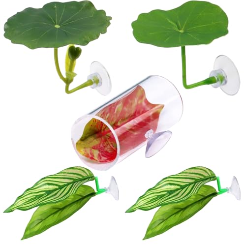 Betta Blatt Hängematte - Dekorativer Aquarium Lebensraum Für Fische - Aquarium Laichplatz 5er-Set mit Natürlichem Guppy-Zuchtbett zur Dekoration Betta Blatt Hängematte - Dekorativer Aquarium Lebensraum Für Fische - Aquarium Laichplatz 5er-Set mit Natürlichem Guppy-Zuchtbett zur Dekoration von Niktule