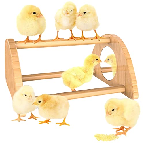 Hühnerbarsch - Spaß-Baby-Küken-Barsch mit Spiegel - Hühnerschaukel Starke Hühnerstangen aus Holz Schlafplatz für Küken, Papageien, Vögel, Hühnerspielzeug für Coop Niktule von Niktule