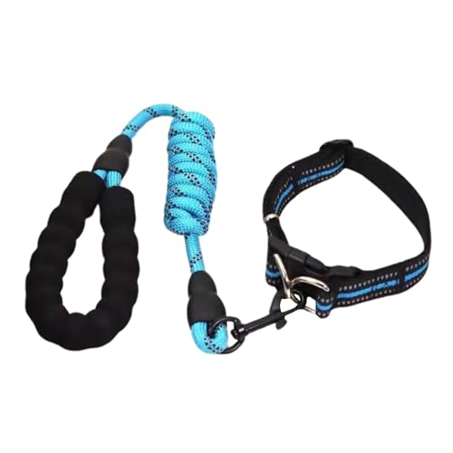 Kleines Hundehalsband, verstellbares Haustierhalsband - Verstellbares Hundehalsband - Reflektierende Design-Nylon-Hundehalsbänder, geeignet für große, mittlere und kleine Hunderassen Kleines Hundehalsband, verstellbares Haustierhalsband - Verstellbares Hundehalsband - Reflektierende Design-Nylon-Hundehalsbänder, geeignet für große, mittlere und kleine Hunderassen von Niktule