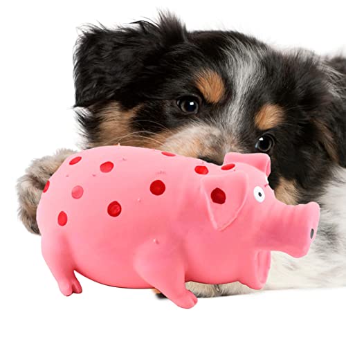 Niktule Schwein Hundespielzeug | Niedliches quietschendes Hundespielzeug in Schweineform | Weiches, strapazierfähiges Latex-Schwein-Hundespielzeug mit Quietscher, interaktives Hundekauspielzeug von Niktule