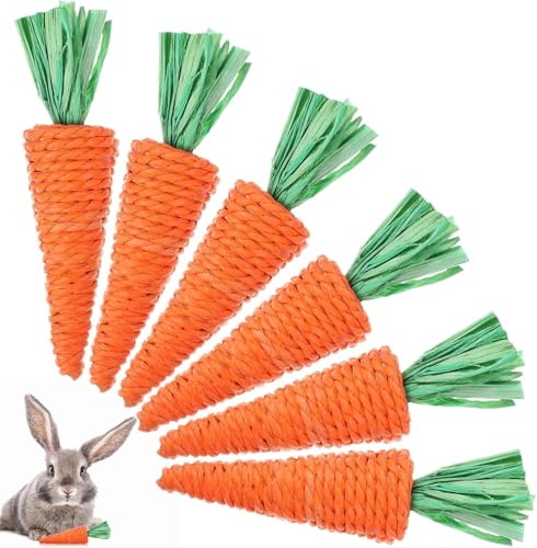 Kaninchen-Kauspielzeug, natürlich für Gras, Karotte, Kleintiere, zum Schleifen von Spielen, Spielzeug für Kaninchen, Hamster, Meerschweinchen, Leckerli für Kaninchen, Kleintierspielzeug, 5 Stück von Niltracy