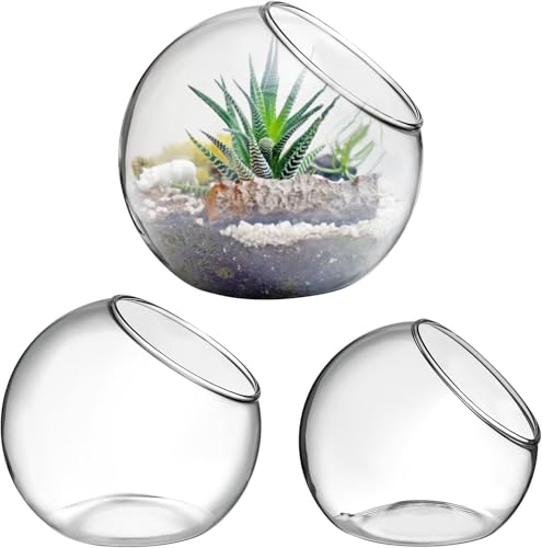 Pflanzen-Terrarium-Display: 3 Stück Glas-Terrarium-Behälter, Sukkulenten, Luftpflanzen, Pflanzgefäß, Vasen, Glasvasen, Blumen-Pflanzgefäß, transparent, Desktop-Glas-Pflanzgefäß, Globus, von Niltracy