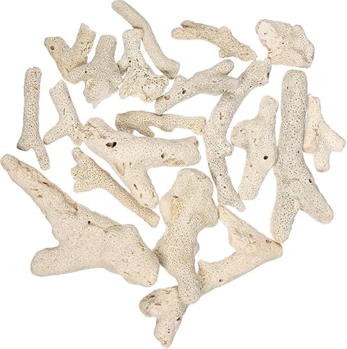 Teichfiltermedien für Aquarien, zerkleinerte Korallensteine, Filter für Aquarien, Teichfilter, Blumentopf-Dekorationen, Zubehör (500 g) von Niltracy