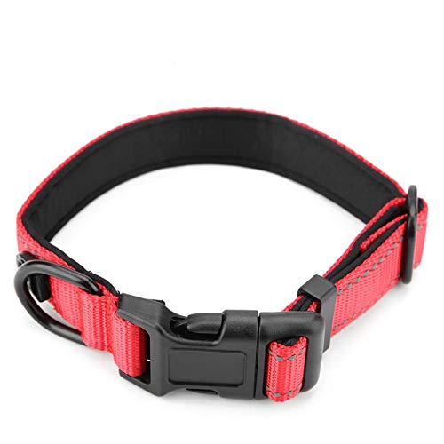 Reflektierende Nylon-Hundehalsbänder, verstellbares, sicheres Haustierhalsband, für kleine, mittelgroße Hunde(L-rot) von Nimomo