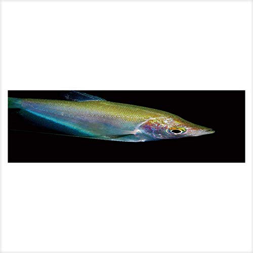 NineHui Aquarium-Hintergrund, Rückansicht von Geschäftsmann, die an Kreuzungen Stehen und Bilder herstellen, PVC, Dekoration, Papier, Aufkleber, 60 x 30 cm, L23.6 x H19.6, Color06 von NineHui
