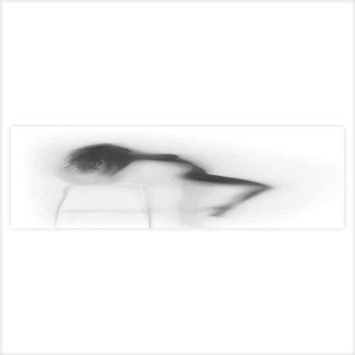 NineHui Hintergrund-Aufkleber für Aquarien, Tropische Entspannung, 60 x 30 cm, L23.6 x H19.6, Color20 von NineHui