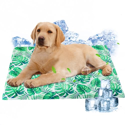 Ninonly Kühlmatte Hunde 50 X 65cm Kühlmatte für Hunde Katze Haustier Eismatte Selbstkühlende mit Ungiftiges Gel Selbst Kühlende wasserdichte Hundematte für Drinnen und Draußen Blätter Ninonly Kühlmatte Hunde 50 X 65cm Kühlmatte für Hunde Katze Haustier Eismatte Selbstkühlende mit Ungiftiges Gel Selbst Kühlende wasserdichte Hundematte für Drinnen und Draußen Blätter von Ninonly