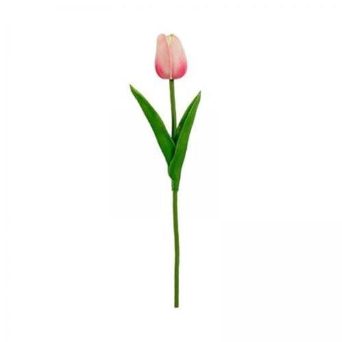 Nishiyuenyi 2 X, Künstliche Blumen, Kunsttulpen, Dekorative Foto Requisite, 35 cm Länge, Kunstblumen, Tischdekoration für Hochzeit, Dusche, Party Nishiyuenyi 2 X, Künstliche Blumen, Kunsttulpen, Dekorative Foto Requisite, 35 cm Länge, Kunstblumen, Tischdekoration für Hochzeit, Dusche, Party von Nishiyuenyi