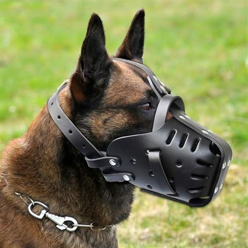Maulkorb für Deutschen Schäferhund Malinois, Leder-Mundschutz zum Beißen, Kauen, Fellpflege, verstellbar, atmungsaktiv, für mittelgroße und große Hunde, schwarz, Halsumfang – 35 x 50 cm Maulkorb für Deutschen Schäferhund Malinois, Leder-Mundschutz zum Beißen, Kauen, Fellpflege, verstellbar, atmungsaktiv, für mittelgroße und große Hunde, schwarz, Halsumfang – 35 x 50 cm von Nisone