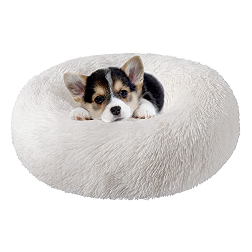 Katzenbetten für Indoor-Katzen, 50,8 cm, Hundebett für kleine Melium-große Hunde, waschbares, rundes Haustierbett für Welpen und Kätzchen, mit rutschfester Unterseite Katzenbetten für Indoor-Katzen, 50,8 cm, Hundebett für kleine Melium-große Hunde, waschbares, rundes Haustierbett für Welpen und Kätzchen, mit rutschfester Unterseite von Nisrada