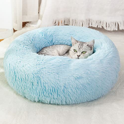 Nisrada Katzenbetten für Indoor-Katzen, 50cm, Hundebett für kleine Melium-große Hunde, waschbares, rundes Haustierbett für Welpen und Kätzchen, mit Rutschfester Unterseite Nisrada Katzenbetten für Indoor-Katzen, 50cm, Hundebett für kleine Melium-große Hunde, waschbares, rundes Haustierbett für Welpen und Kätzchen, mit Rutschfester Unterseite von Nisrada