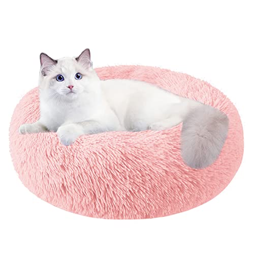 Nisrada Katzenbetten für Indoor-Katzen, 50cm, Hundebett für kleine Melium-große Hunde, waschbares, rundes Haustierbett für Welpen und Kätzchen, mit Rutschfester Unterseite Nisrada Katzenbetten für Indoor-Katzen, 50cm, Hundebett für kleine Melium-große Hunde, waschbares, rundes Haustierbett für Welpen und Kätzchen, mit Rutschfester Unterseite von Nisrada