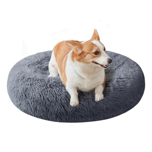 Nisrada Katzenbetten für Indoor-Katzen, 60cm Hundebett für kleine Melium große Hunde, waschbares, rundes Haustierbett für Welpen und Kätzchen mit Rutschfester Unterseite Nisrada Katzenbetten für Indoor-Katzen, 60cm Hundebett für kleine Melium große Hunde, waschbares, rundes Haustierbett für Welpen und Kätzchen mit Rutschfester Unterseite von Nisrada