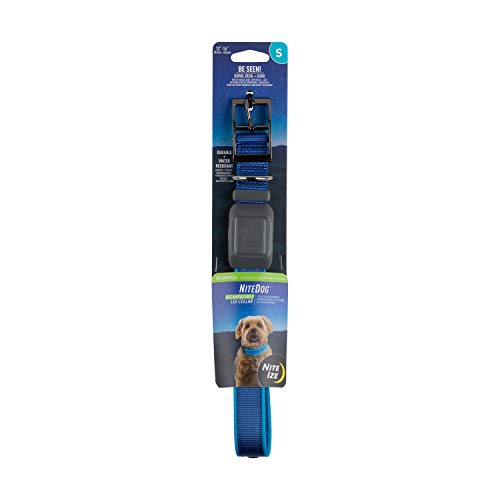 Nite Ize NiteDog Wiederaufladbares LED-Halsband – Leuchtendes Hundehalsband mit robuster Metallschnalle – Wasserabweisendes & wiederaufladbares Halsband – Hundezubehör für Nachtaktivitäten – klein, von Nite Ize
