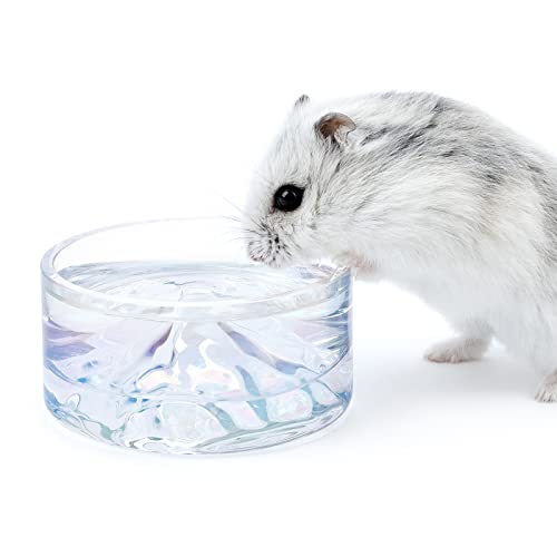 Niteangel Hamster Feeding & Water Bowls- Mount Fuji Series Glass Drinking Bowls for Dwarf Syrian Hamsters Gerbils Mice Rats or Other Similar-Sized Small Pets von Niteangel