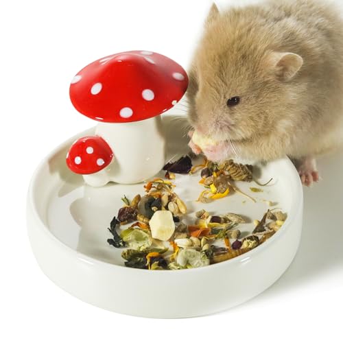 Niteangel Hamster-Futter- und Wassernäpfe – Pilz-Keramik-Serie, Futternapf für syrische Zwerghamster, Rennmäuse, Mäuse, Ratten oder andere ähnlich große kleine Haustiere (Futternapf) von Niteangel