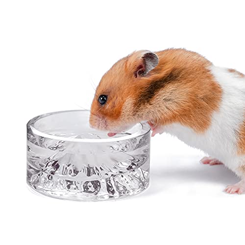 Niteangel Hamster-Futter- und Wasserschalen – Kleine Tier-Trinkschalen aus Glas für Zwerghamster, Wüstenrennmäuse, Mäuse, Ratten oder andere ähnlich große kleine Haustiere (weiß) von Niteangel