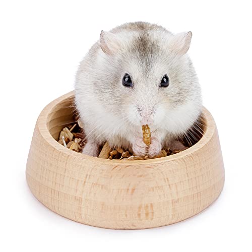 Niteangel Hamster-Futternapf aus Holz, für Zwerge, syrische Hamster, Rennmäuse, Mäuse, Degus oder andere ähnlich große kleine Haustiere (Hammy-Muster, für Zwerg) von Niteangel