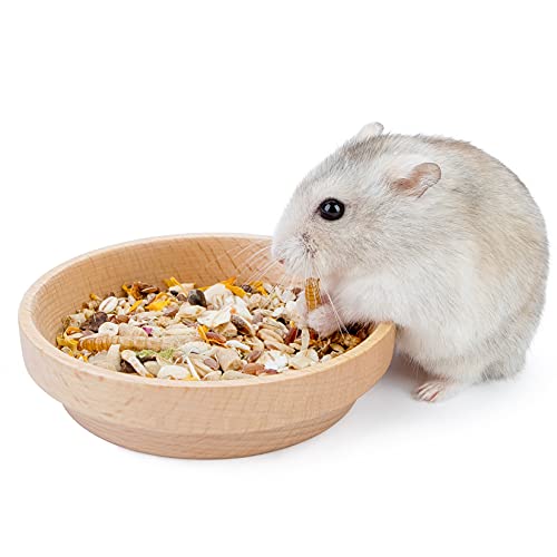 Niteangel Hamster-Futternapf aus Holz – Kleintier-Futterschale für syrische Zwerghamster, Rennmäuse, Mäuse, Degus oder andere ähnlich große kleine Haustiere (kein Muster, für Zwerge) von Niteangel