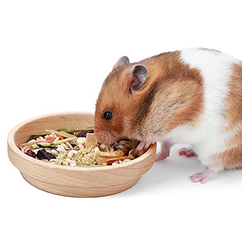 Niteangel Hamster-Futternapf aus Holz: – Kleintier-Futterschale für Zwerge, syrische Hamster, Rennmäuse, Mäuse, Degus oder andere ähnlich große kleine Haustiere (kein Muster, für Syrisch) von Niteangel
