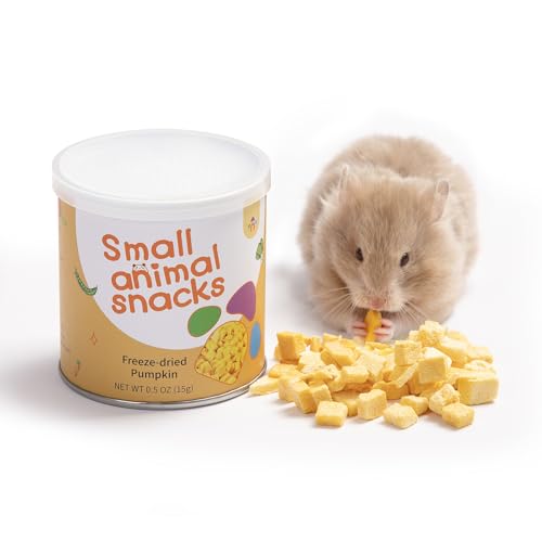 Niteangel Hamster-Snacks und Leckerlis Spielzeug - Natürlicher Leckerbissen für Zwerghamster, Syrische Hamster, Robo Hamster, Gerbils, Mäuse, Degus oder (Freeze-Dried Pumpkin - 0.5oz (15g)) von Niteangel