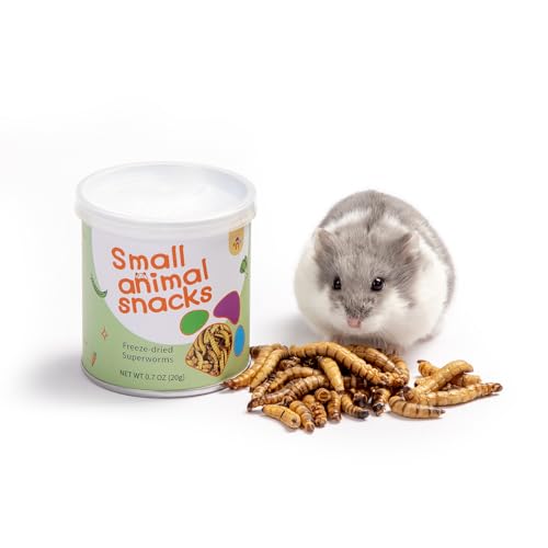 Niteangel Hamster-Snacks und Leckerlis Spielzeug - Natürlicher Leckerbissen für Zwerghamster, Syrische Hamster, Robo Hamster, Gerbils, Mäuse, Degus oder (Freeze-Dried Worms- 0.7oz (20g)) von Niteangel