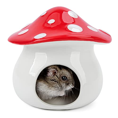 Niteangel Keramik-Hamster-Habitat-Versteck für syrische Zwerghamster, Mäuse, Rennmäuse, Lemmings oder andere ähnlich große kleine Haustiere (pilzförmig) von Niteangel