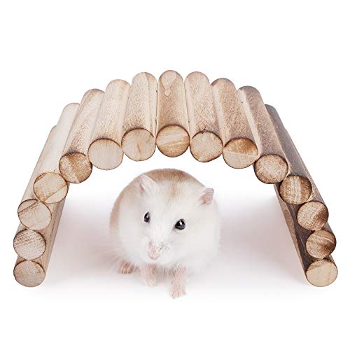 Niteangel Kletterspielzeug für Kleintiere, Federbrücke, Leiter für Hamster, Rennmäuse, Mäuse, Ratten, Meerschweinchen oder andere kleine Haustiere (20 x 9 cm) von Niteangel