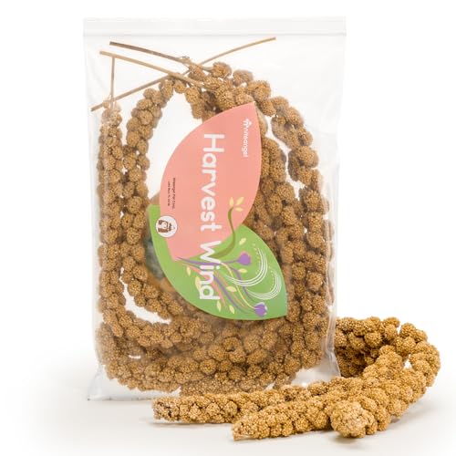 Niteangel Natürliche und weiche Hamster-Bettwäsche Mate Kleintier-Lebensraum Dekor für syrische Zwerghamster, Rennmäuse, Mäuse, Degus-Hasen oder andere kleine Haustiere von Niteangel