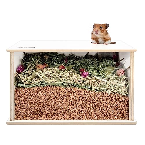 Niteangel Sichtbare Hamster Grabbox für syrische, Zwerghamster, Roborowski, Campbell-Hamster, Gerbils, Mäuse, Lemminge, Degus oder andere kleinere Haustiere (Weiß) von Niteangel