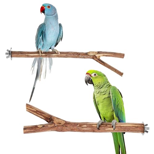 Niteangel Sitzstangen aus natürlichem Holz für Vogelkäfige – ideal für Nymphensittiche, Sittiche, Finken und andere Käfigvögel (keine Rinde, 2 Stück) von Niteangel