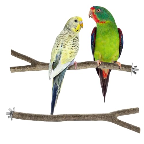 Niteangel Sitzstangen aus natürlichem Holz für Vogelkäfige – ideal für Nymphensittiche, Sittiche, Finken und andere Käfigvögel (natürliche Rinde, 2 Stück) von Niteangel