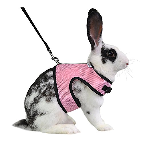 Niteangel Verstellbares, weiches Geschirr mit elastischer Leine für Kaninchen (L, Rosa) von Niteangel