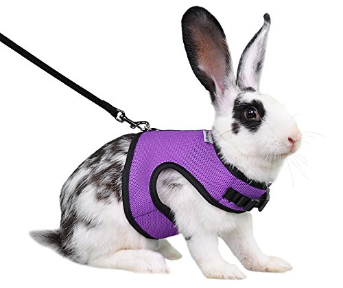 Niteangel Verstellbares, weiches Geschirr mit elastischer Leine für Kaninchen (L, Violett) von Niteangel
