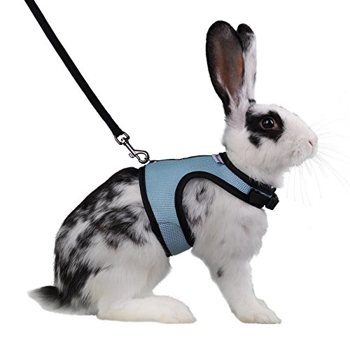 Niteangel Verstellbares, weiches Geschirr mit elastischer Leine für Kaninchen (L, blau) von Niteangel