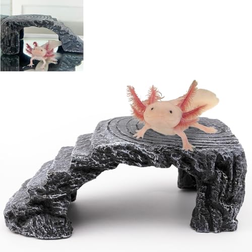 Axolotl Höhle Axolotl Verstecke für Aquarium & Terrarium, Unterschlupf für Pleco, Krabben, Fische, Schildkröten, Betta, Geckos, Frosch, Harz Tank Dekor von Niuohoy