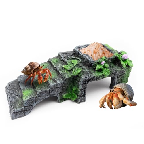 Einsiedlerkrebs-Versteck Einsiedlerkrebse, Kunstharz, Kletterspielzeug mit Rampe, Futter- und Wasserschale für Krabben, Eidechsen und kleine Reptilien, Einsiedlerkrebse, Tankzubehör, Dekoration, Grau Einsiedlerkrebs-Versteck Einsiedlerkrebse, Kunstharz, Kletterspielzeug mit Rampe, Futter- und Wasserschale für Krabben, Eidechsen und kleine Reptilien, Einsiedlerkrebse, Tankzubehör, Dekoration, Grau von Niuohoy