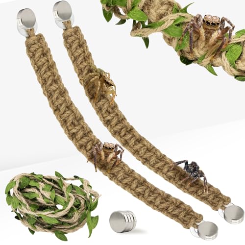 Niuohoy Springspinne Seilbrücke Springspinne Zubehör Seilbrücke mit Magneten und Ornament-Kunstrasen für Springspinnen Terrarium Springspinne Gehege Dekoration Niuohoy Springspinne Seilbrücke Springspinne Zubehör Seilbrücke mit Magneten und Ornament-Kunstrasen für Springspinnen Terrarium Springspinne Gehege Dekoration von Niuohoy