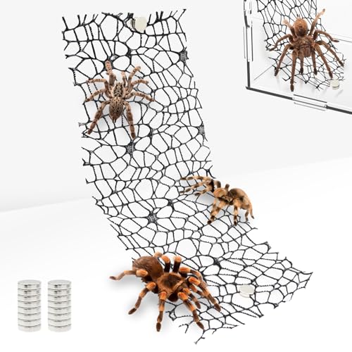Niuohoy Vogelspinnen-Gehege, Zubehör für Springspinnen, Lebensraum, Zubehör mit 16 Magneten, Spinnen-Terrarium, Dekoration, Betermantis, Lebensraum, Springspinne, Kletternetz, Schwarz, 4 Stück Niuohoy Vogelspinnen-Gehege, Zubehör für Springspinnen, Lebensraum, Zubehör mit 16 Magneten, Spinnen-Terrarium, Dekoration, Betermantis, Lebensraum, Springspinne, Kletternetz, Schwarz, 4 Stück von Niuohoy