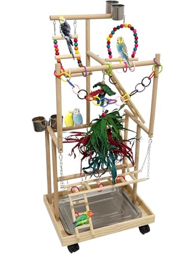 Niwaes 4-stöckiger großer Vogelspielplatz aus Holz mit Rädern, Naturholz Papageienspielständer Vögel Sitzstange Ständer Fitnessstudio mit Leiter Spielzeug Zubehör für Nymphensittiche Kakadu Quaker von Niwaes