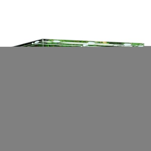 Acryl -Reptilien -Terrarium -Tank - Weitverbrauch Transparenter Fall, Großer Behälter | Zucht Habitat Box, Betrachtung Von Gehege Für Spinnen Echsen Grillen Käfer Gecko Mini Haustiere Wohnzimmer Home von Nixiara
