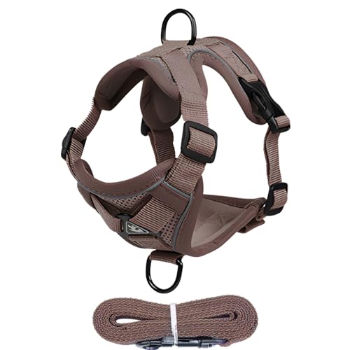 Katzenkabelbaum Und Blei -Set Für Das Gehen - Sichere Gurtoutfit, Verwendete Weit Verbreitete Mesh -Körperweste | Reflektierender Sicherheitsgurt Für Kleine Hunde Kätzchen Haustiere Außenspaziergänge von Nixiara