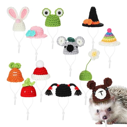 Mini -Meerschweinchen - - Handgestrickte Kleine Haustier -Kopfbedeckung, Winzige Verstellbare Hüte | Bunte Kostümzubehör Für Hamster, Chinchilla Party Caps, 12pcs Lebendige Tier -Outfit -Supplies F von Nixiara