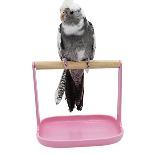 Nixiara Bird Stand Tischplatte, Tabletop Bird Barch | Stabiler Trainingsbarsch mit Slip-Basis - Vogelspielzeug Stehen tragbares Design für die ornithologische Forschung für Fotografie von Nixiara