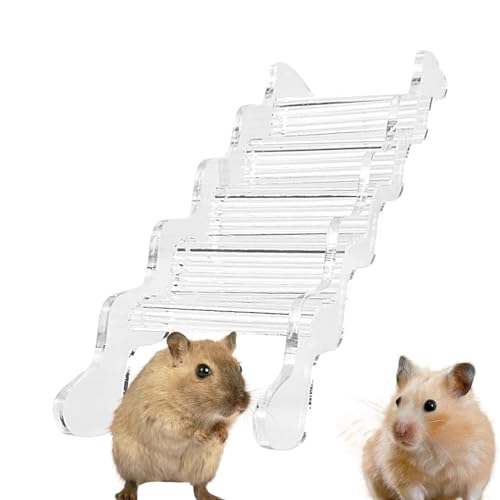 Hamsterleiter,Hamster-Kletterspielzeug - Acrylklarer Hamsterspielplatz - Kleintierrampe, Hamstermöbel für Rennmäuse, Mäuse, Kleintiere von Nixieen