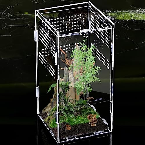 360 ° Acryl Terrarium Schnecken Terrarium: Nizirioo 12x12X20 cm Reptil Fütterungsbox, Mini Transparent Acryl Terrarium, Mini Terrarium für Spide, Skorpion, Gottesanbeterin, Reptilien Lebensraum von Nizirioo