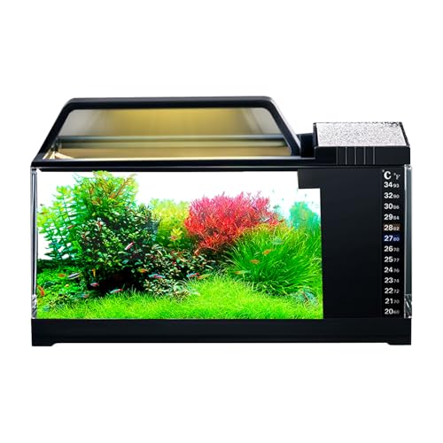 Aquarium-Set, kleine Aquarien mit LED-Licht und leiser Pumpe, fortschrittliches Filtersystem, intelligentes Desktop-Aquarium-Zubehör, ideal für Schlafzimmer, Heimdekoration, 30 x 13 x 18,5 cm Aquarium-Set, kleine Aquarien mit LED-Licht und leiser Pumpe, fortschrittliches Filtersystem, intelligentes Desktop-Aquarium-Zubehör, ideal für Schlafzimmer, Heimdekoration, 30 x 13 x 18,5 cm von Nkmujil